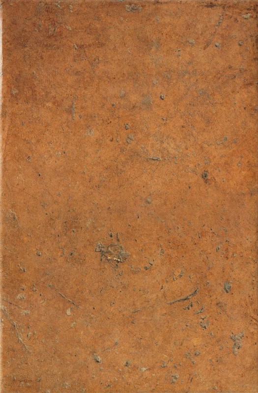 СRPL-00483
