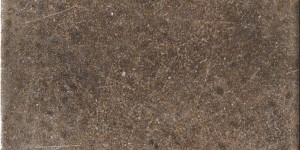 CIR MIAMI LIGHT BROWN Fliesen 10x20