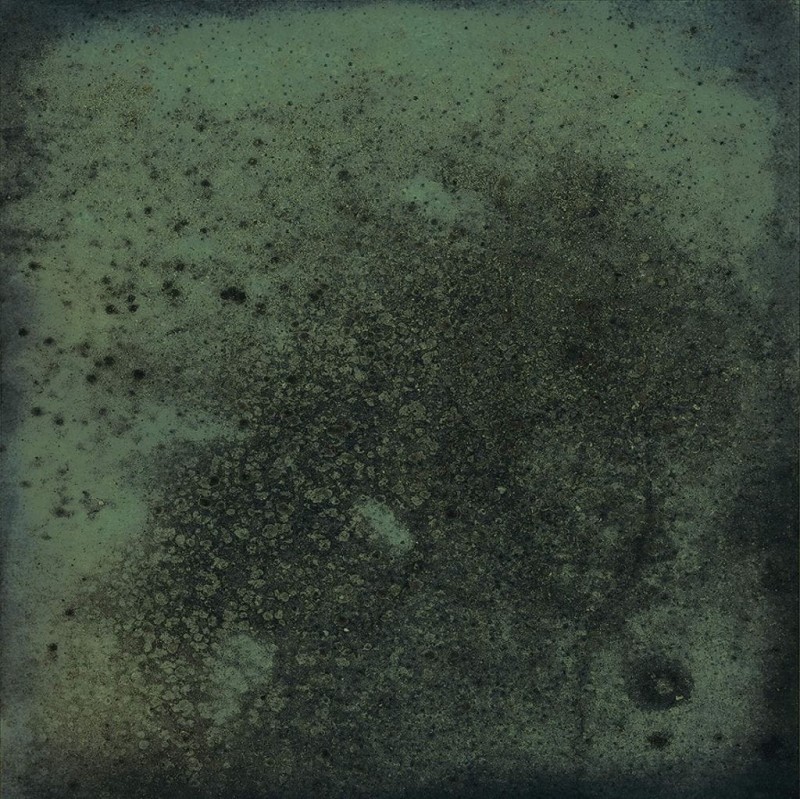 СRPL-01291