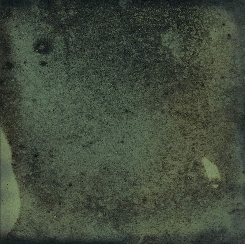 СRPL-01291
