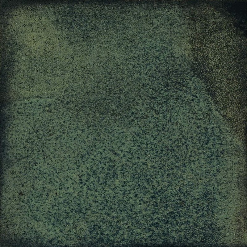 СRPL-01291