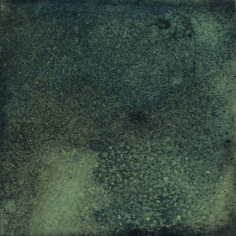 СRPL-01291