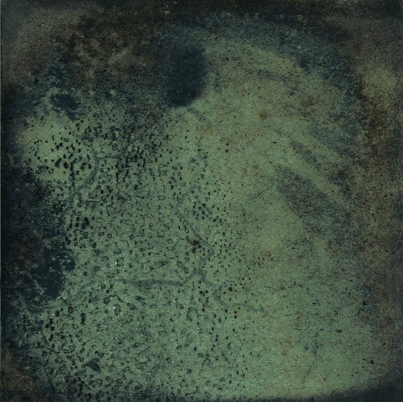 СRPL-01291