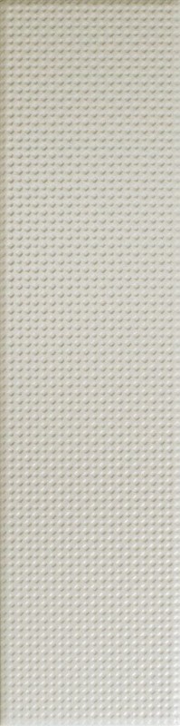 СRPL-01489
