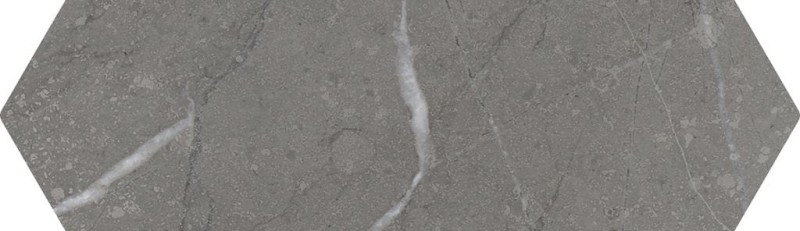 СRPL-01658