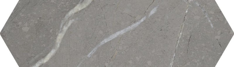 СRPL-01658