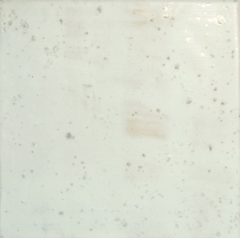 СRPL-01691