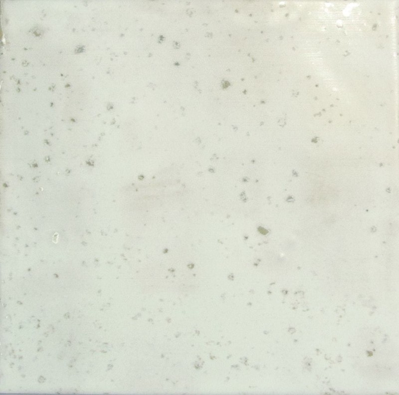 СRPL-01691