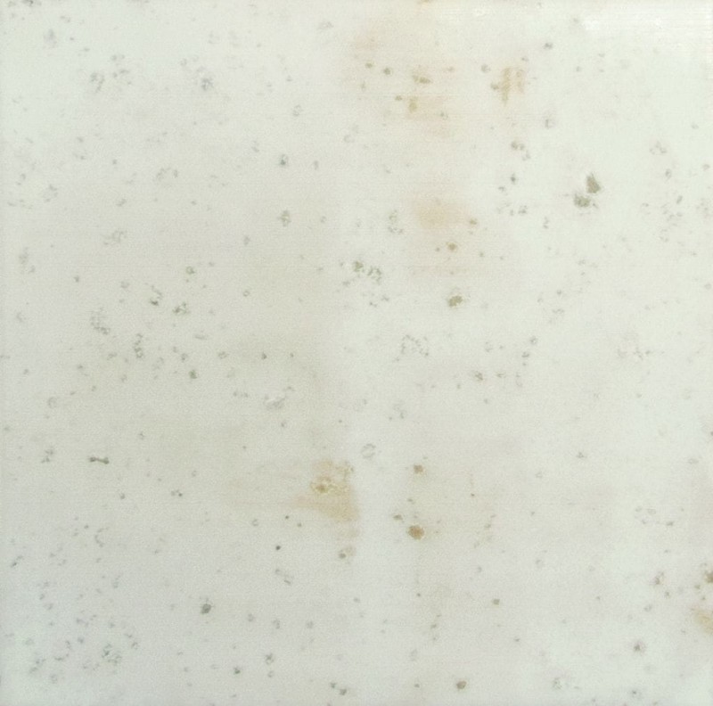 СRPL-01691