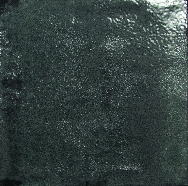 СRPL-01693