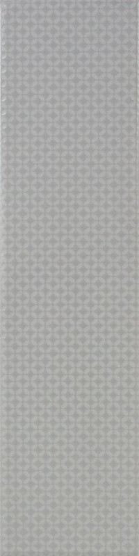 СRPL-01801