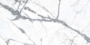 Ecoceramic Olympia Blanco Poliert 60x120 cm Gresfliesen /1,44m²/