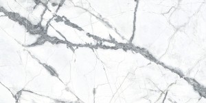 Ecoceramic Olympia Blanco Poliert 30x60 cm Gresfliesen /1,08 m²/