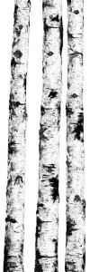 Cotto d'Este Kerlite Wonderwall Non Definito Natura 100x300 3,5mm Ritmi 03 - Platten in großformatiger Qualität