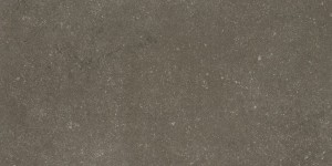 Großformatige Fliesen Cotto d'Este Kerlite Buxy Cendre Natura 50x100 3,5mm /2,5m2/