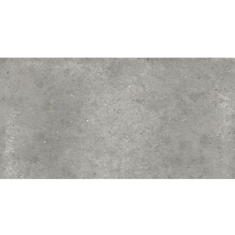 Ariana Anima Grigio Naturale 60x120 płytki gresowe imitujące beton 114364
