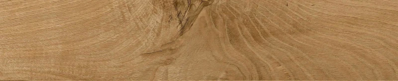 ELGF_REVIVAL_BIONDO 26,5X160_2.jpg.1920x800_q75_crop.jpg