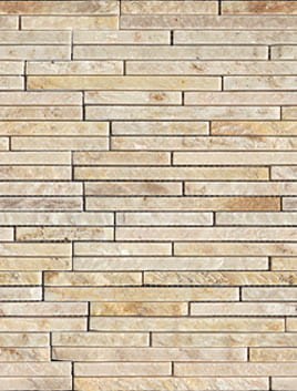 VNS-00294