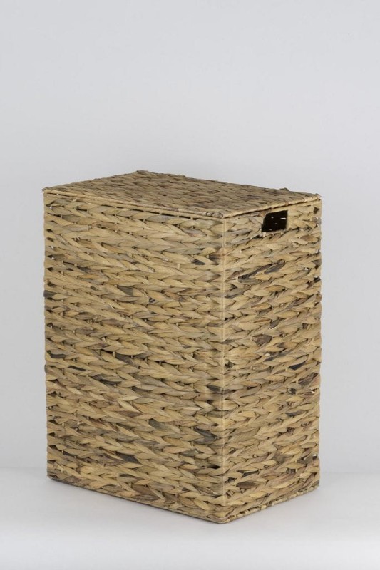 HIACYNT WODNY 362L