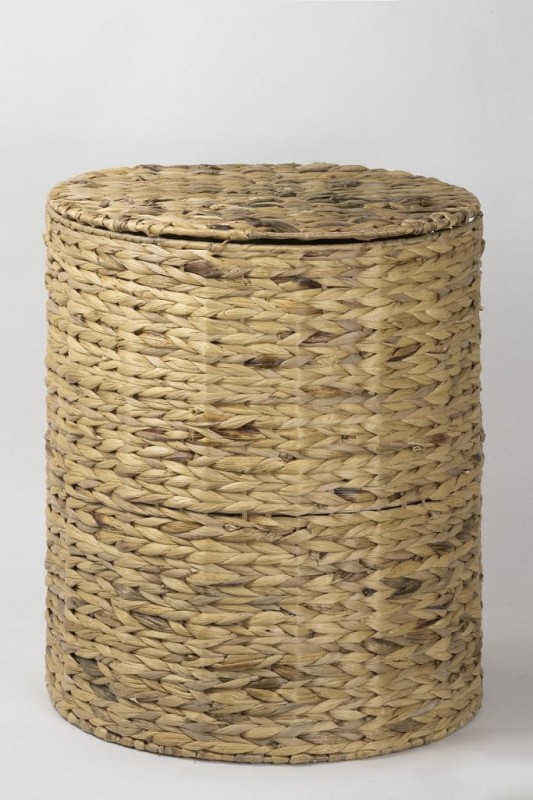 HIACYNT WODNY 363L