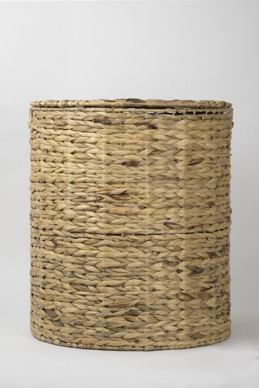 HIACYNT WODNY 363L