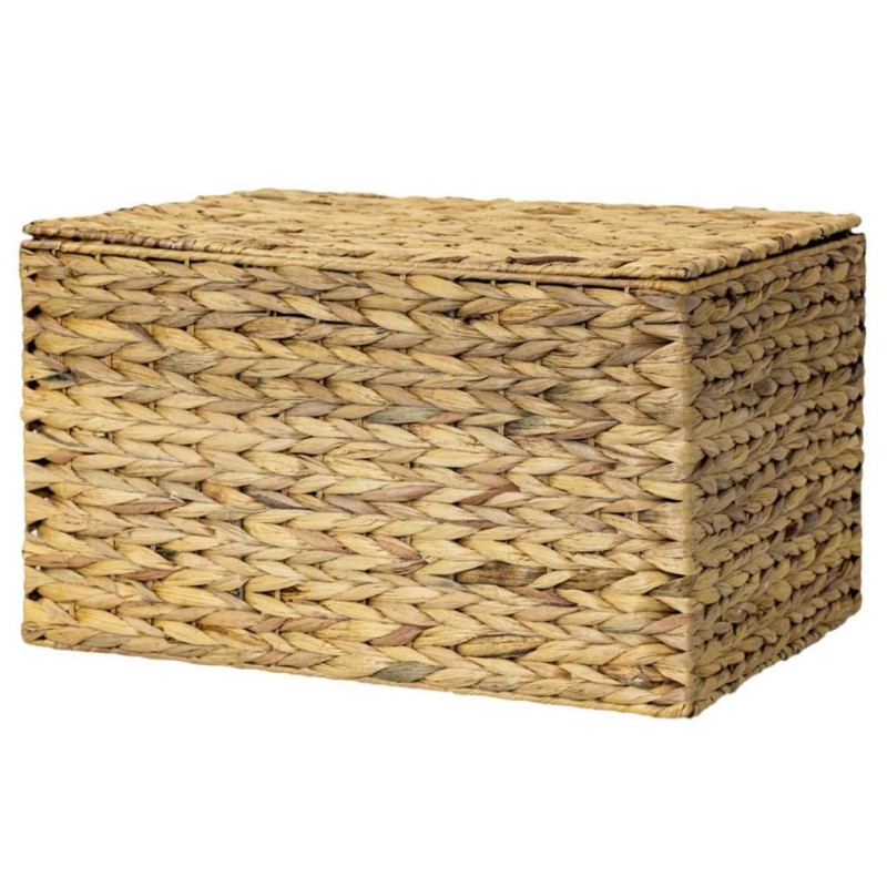 HIACYNT WODNY 520B