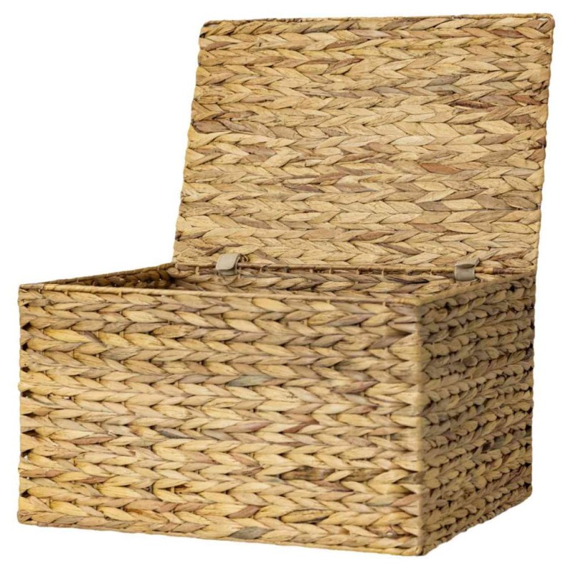 HIACYNT WODNY 520B