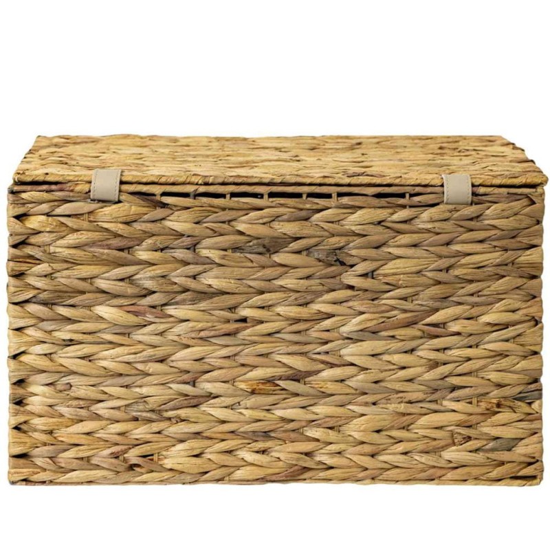 HIACYNT WODNY 520B