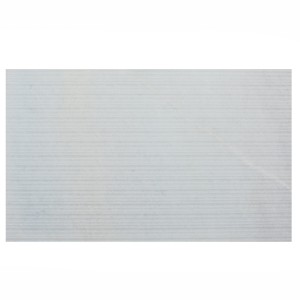 Weiße Marmorplatte Bianco Neve Deco 30 cm strukturiert
