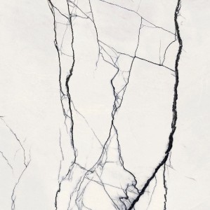 Florim B&W Marble Breach Naturale 120x120 cm Großformatplatte