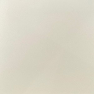 Mono Porzellan Mattes Knochen 60x60 cm
