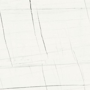 Baldocer Titanium White Pulido 80x80: Marmoroptik Feinsteinzeug Fliesen