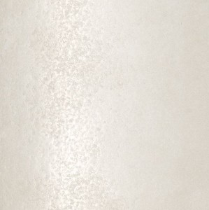 Fioranese Blend Concr. Avorio L/R 60x60: Beiger Perl-Gres