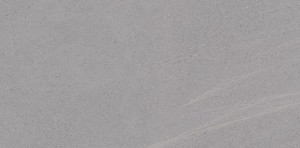 Vives Seine-R Grau 44,3x89,3 Betonfliesen Gres