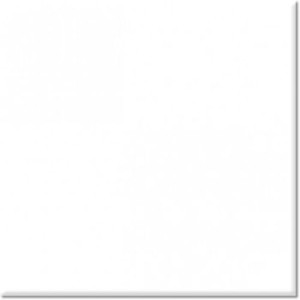 Absolut Keramika Blanco Milano Brillo 10x10 Wandfliese