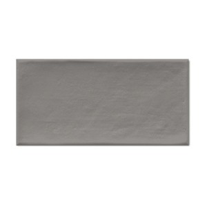 Vives Etnia Grau 10x20 Wandfliesen