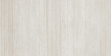 Płytki podłogowe jasno szare beton ze strukturą tynku Casalgrande Padana Cemento Cassero bianco 60x120 81554