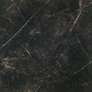 Ecoceramic Verdi Negro Poler 120x120 Fliesen: Großformat Platten