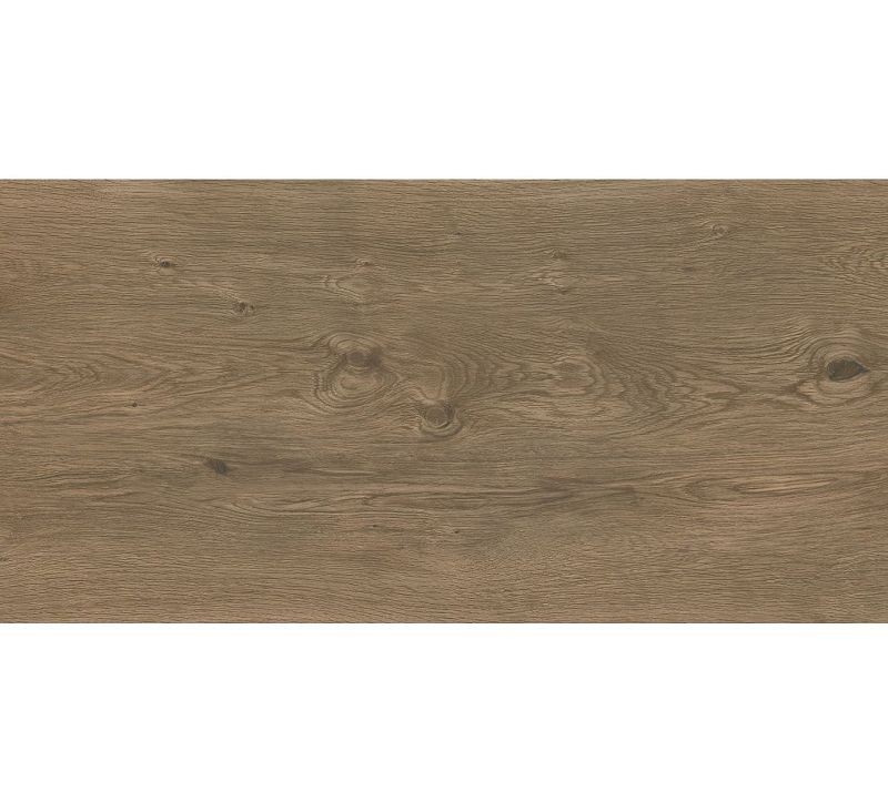 Newker Alpine Oak 60x120 płytki podłogowe 156515