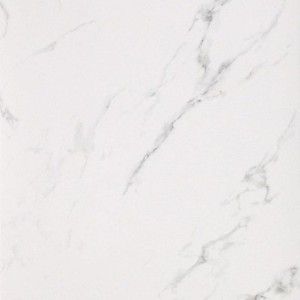 Casalgrande Padana Marmoker Statuario Grigio Lucido 60x60 Fliesen