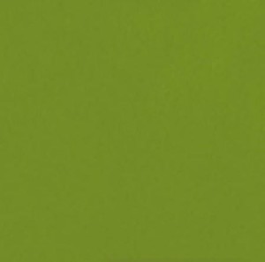 Casalgrande Padana Caleidoscopio Pistacchio 20x20 Fliesen: Pistaziengrün