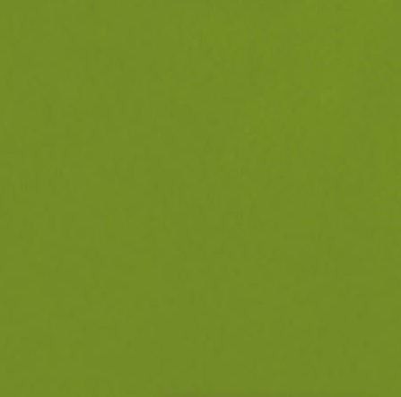 Gres pistacja zielony monokolor Casalgrande Padana Caleidoscopio Pistacchio 20x20 39049