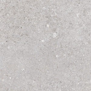 Vives Nassau Grau 20x20 Fliesen aus Steingut
