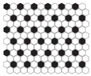 Dunin Mini Hexagon Mosaik Schwarz-Weiß Mix 26x30