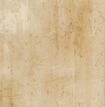 Płytki łazienkowe beżowe Mainzu Verona Blanco Pav 20x20 56265