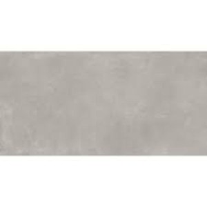 Baldocer Arkety Grey 60x120 Fliese aus Feinsteinzeug