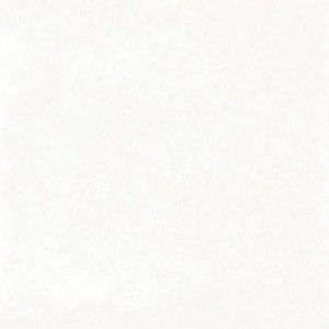 Estudio Fossil 15x15 Gresfliese