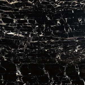 Fioranese Prestige Portoro Effekt Poliert 30x30 M3308LR Feinsteinzeugplatte