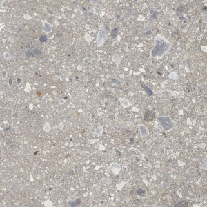 Cerrad Ceppo Nuovo Silver Fliesen 120x120: Gres-Steinoptik