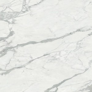 Coem Statuario Levigato 120x120 Fliesen ME121L: Großformat Platten